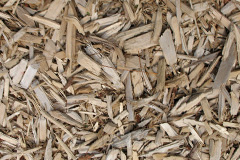 biomass boilers Glebe